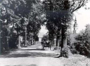 Allee in Klix : Dorfsiedlungen - Details. Ort: Klukš / Klix. Allee