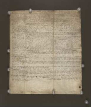Regest Hoppe. 1560 Dez. 13. Braueramtsbrief.