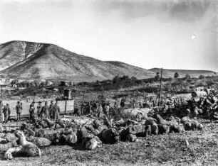 Eisenbahnunfall : Eisenbahnunfall bei der Yarmukh Station, Rosh Haayin.