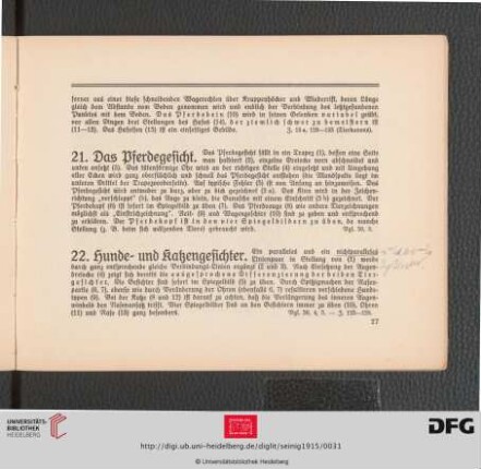 21. Das Pferdegesicht