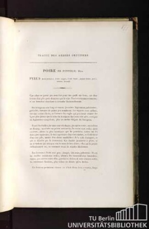 Traité des arbres fruitiers. Poire de tonneau. Duh. Pyrus dolifera, fructu magno, dolioli formâ, partim citrino, partim rubente, brumali.