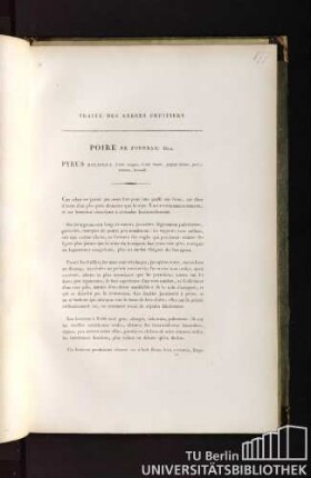 Traité des arbres fruitiers. Poire de tonneau. Duh. Pyrus dolifera, fructu magno, dolioli formâ, partim citrino, partim rubente, brumali.
