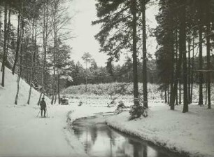 Dresdner Heide. Im Winter an der Prießnitz
