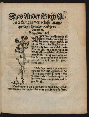 Das Ander Buch Alberti Magni/ von etlichen namhafftigen Kreutern/ und iren Tugenden.