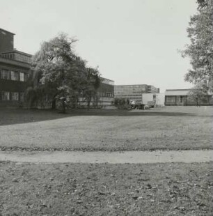 Lingnerallee