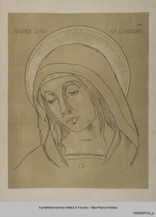Kopf einer Madonna (nach einem Fresko in der Pinakothek in Assisi, vermutlich von Andrea di Luigi Ingegno)