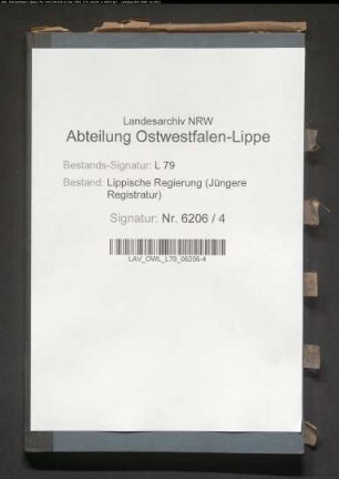 Vorstellungslisten des Aushebungsbezirks Detmold, Band 2