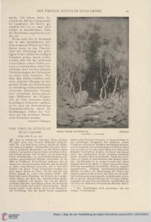 Der Tiroler Künstler Hugo Grimm