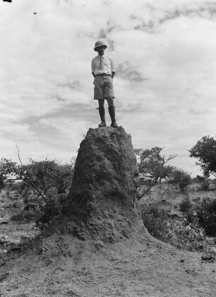 Termitenhügel : Der Geograph Karl Wien (1906-1937) auf einem Termitenhügel