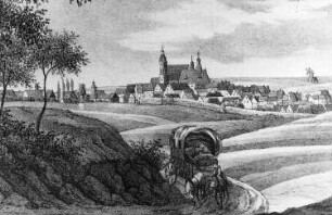 Oschatz. Stadtansicht vom Weinberg