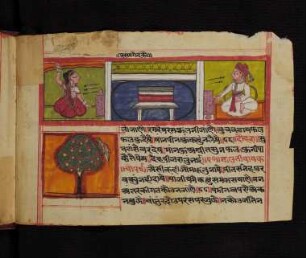 Illustration: f. 8r-8v