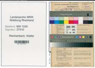 Entnazifizierung Walter Reichenbach , geb. 03.10.1903 (Bergassessor)