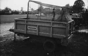 Fotografie: Gartenbautechnik, Transport, Transportgerät, Einachsanhänger