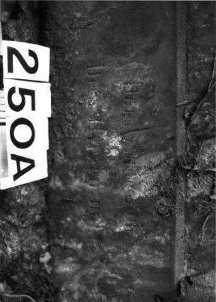 Grabstein 250 (Index: 100085077) Maße HxBxT: 162x60x58 cm Beschreibung: Stele, getreppter Sockel, Aufsatz, rechteckige Schriftfelder eingetieft: Grabstein 250A