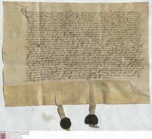 Johann Schenk zu Schweinsberg, Marschall, bekennt: seine Schwester Anna Riedesel, geborene Schenk zu Schweinsberg, Witwe, hat Jorg [I.] Riedesel, ...