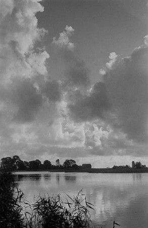 Darßer Landschaft