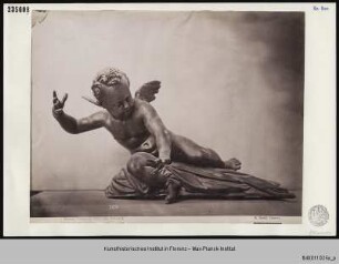 Putten : Geflügelter Putto