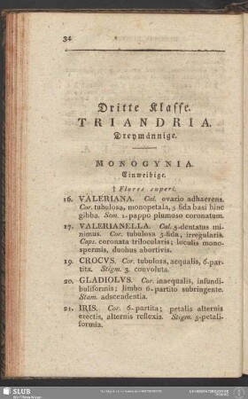 Dritte Klasse. Triandria. Dreymännige