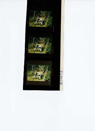 Planungsgesellschaften - Image-Broschüre, ohne Ortsangabe, 1994