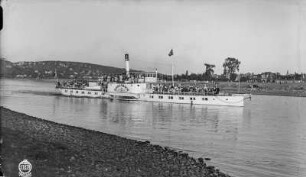 Personen-Seitenraddampfer "Bodenbach" (1896, Werft Blasewitz) in Fahrt stromab bei Dresden-Johannstadt mit Badeanstalt