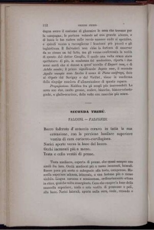 Seconda Tribù. Falconi. - Falcones.