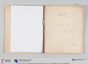 Glänzender schwarzer Firniß