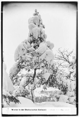 Winter in der Sächsischen Schweiz