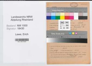 Entnazifizierung Erich Lewe, geb. 19.04.1909 (Buchhalter)