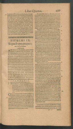 Titulus IX. Si quadrupes pauperiem fecisse dicatur.