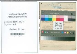 Entnazifizierung Richard Grallert , geb. 17.09.1905 (Postkraftfahrer)