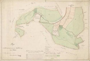 Plan von der Lichtenauer gemeinen Waldung am Rhein