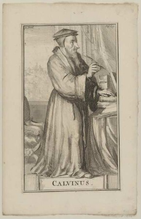 Bildnis des Calvinus