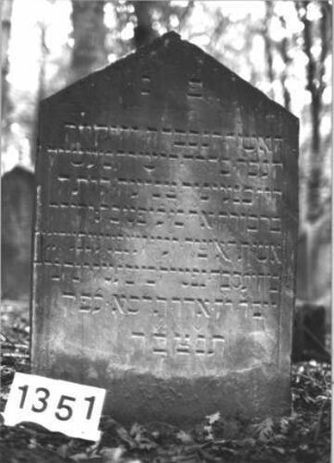 Grabstein 1351 (Index: 99900262) Material: Sandstein Zustand: leicht angewittert Maße HxBxT: 101x62x12 cm Beschreibung: Stele mit Dreiecksabschluss, im Dreiecksfeld hängende Blüte Symbolik: Blüte: Grabstein 1351