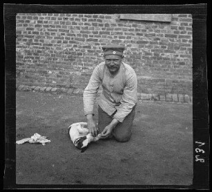 Pelves (Dep. Pas-de-Calais, Frankreich): Offizier "Michl beim Spielen mit einem kleinen Hund vor einer Ziegelsteinmauer