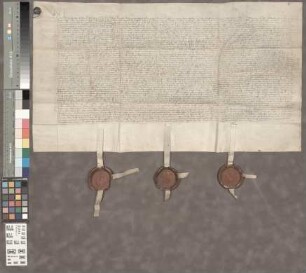 Eich: Übergabe des Dorfes Eich von dem St. Paulsstift zu Worms an Kurpfalz