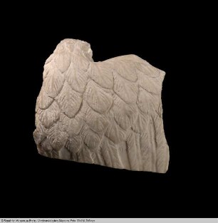 Fragment einer figürlichen Schale