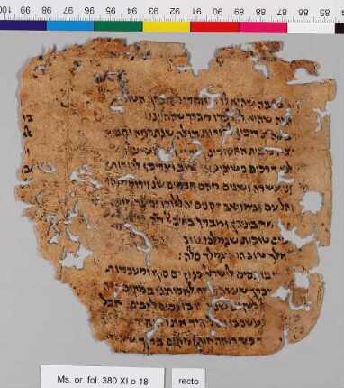 18: Mishneh Torah : Fragment