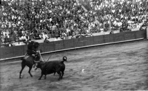 Barcelona [Spanien]: Stierkampf, Angriff vom Pferd