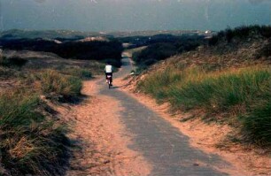 Norderney: Fuß- und Radweg in den Dünen