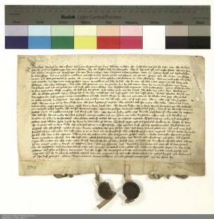 Revers Apels von Haun und weiterer namentlich genannter Personen bezüglich der Belehnung mit der Burg Haun durch Johann [von Merlau], Abt von Fulda, und Hermann [von Buchenau], Pfleger des Stifts Fulda