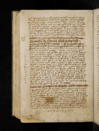 Quidam Iudeus qui faciebat vitrum habebat filium pulcherimum …