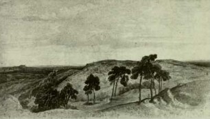 Hügelige Landschaft mit Baumgruppe
