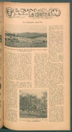 Un manzanar moderno : El campo y la chacra