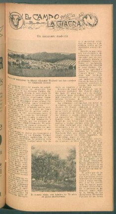 Un manzanar moderno : El campo y la chacra