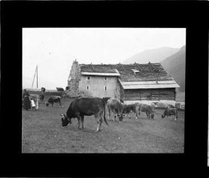 Landwirtschaft im Engadin