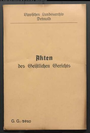Hermann Stivarius in Kohlstädt gegen seine Stiefmutter Caroline Stivarius geb. Mische, Ehefrau des Pastors Stivarius in Schlangen, wegen einer Beleidigung