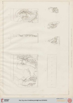 Planche XIII