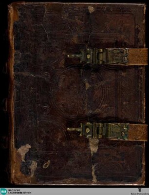 Lateinisches Stundenbuch - Cod. St. Peter perg. 106