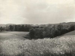 Vogtland, Tal der Weißen Elster nahe Liebau. Blick von der Straße Jocketa - Liebau in westliche Richtung, rechts der Ort Trieb