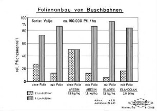 Folienanbau von Buschbohnen